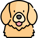 Dungeondraft Logo